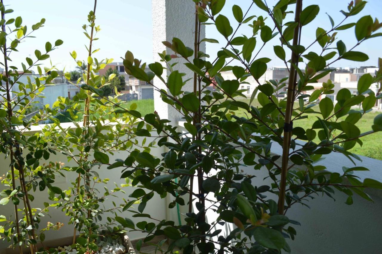 Casa Vacanze Infiore Leverano Exterior photo